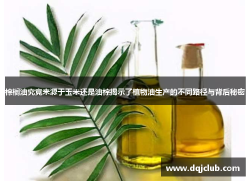 棕榈油究竟来源于玉米还是油棕揭示了植物油生产的不同路径与背后秘密 棕榈油究竟来源于玉米还是油棕揭示了植物油生产的不同路径与背后秘密