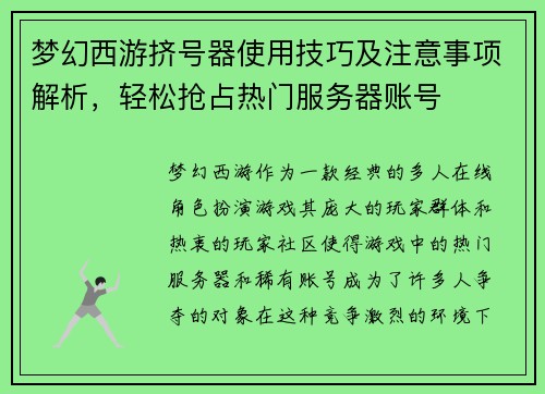 梦幻西游挤号器使用技巧及注意事项解析，轻松抢占热门服务器账号